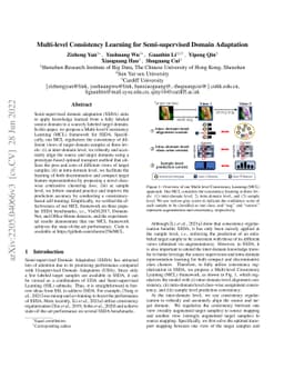 Multi-level Consistency Learning for Semi-supervised Domain Adaptation