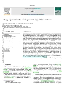 Deeply Supervised Skin Lesions Diagnosis with Stage and Branch Attention