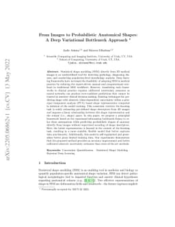 From Images to Probabilistic Anatomical Shapes: A Deep Variational
  Bottleneck Approach