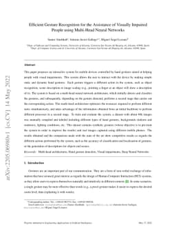 Efficient Gesture Recognition for the Assistance of Visually Impaired
  People using Multi-Head Neural Networks