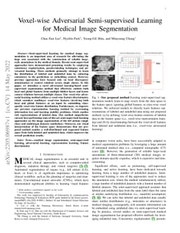 Voxel-wise Adversarial Semi-supervised Learning for Medical Image
  Segmentation