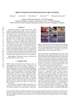 Object-Aware Self-supervised Multi-Label Learning