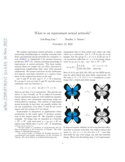 What is an equivariant neural network?