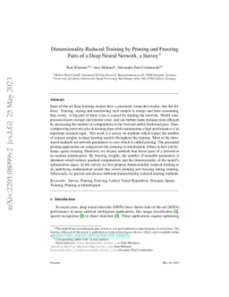 Dimensionality Reduced Training by Pruning and Freezing Parts of a Deep
  Neural Network, a Survey