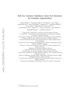 blob loss: instance imbalance aware loss functions for semantic
  segmentation