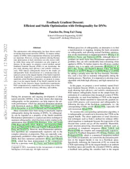 Feedback Gradient Descent: Efficient and Stable Optimization with
  Orthogonality for DNNs
