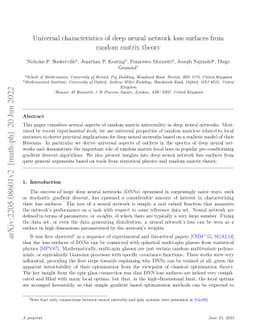 Universal characteristics of deep neural network loss surfaces from
  random matrix theory