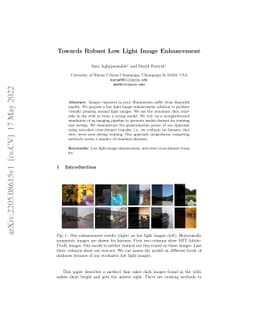 Towards Robust Low Light Image Enhancement
