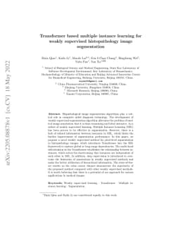 Transformer based multiple instance learning for weakly supervised
  histopathology image segmentation
