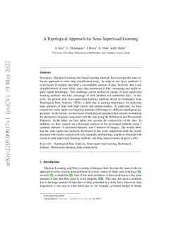 A Topological Approach for Semi-Supervised Learning