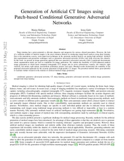 Generation of Artificial CT Images using Patch-based Conditional
  Generative Adversarial Networks
