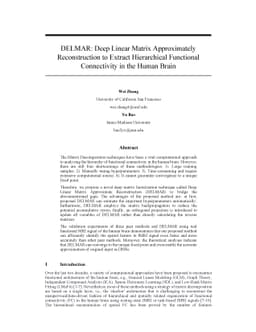 DELMAR: Deep Linear Matrix Approximately Reconstruction to Extract
  Hierarchical Functional Connectivity in the Human Brain