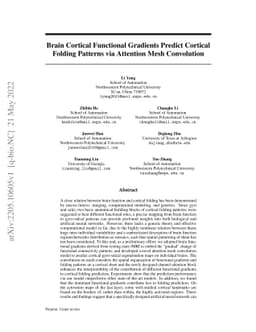 Brain Cortical Functional Gradients Predict Cortical Folding Patterns
  via Attention Mesh Convolution
