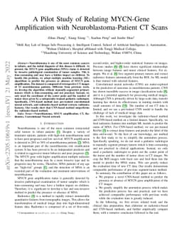 A Pilot Study of Relating MYCN-Gene Amplification with
  Neuroblastoma-Patient CT Scans