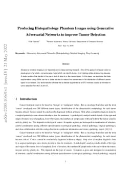 Producing Histopathology Phantom Images using Generative Adversarial
  Networks to improve Tumor Detection