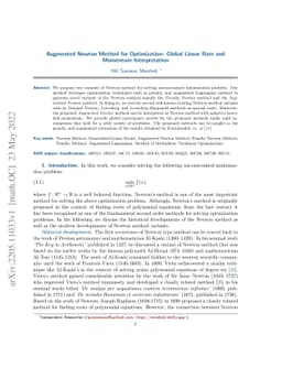 Augmented Newton Method for Optimization: Global Linear Rate and
  Momentum Interpretation