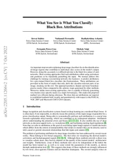 What You See is What You Classify: Black Box Attributions