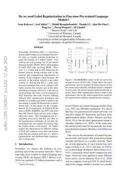 Do we need Label Regularization to Fine-tune Pre-trained Language
  Models?
