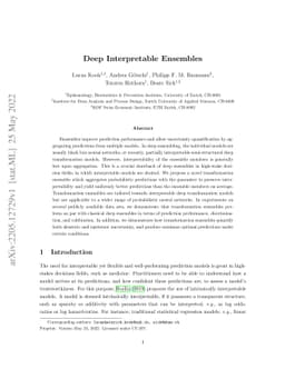 Deep interpretable ensembles
