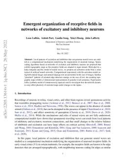 Emergent organization of receptive fields in networks of excitatory and
  inhibitory neurons