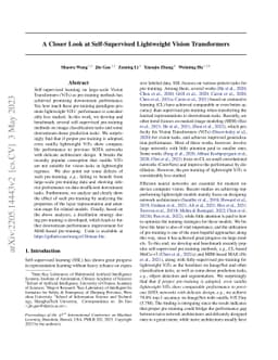 A Closer Look at Self-Supervised Lightweight Vision Transformers