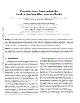 Comparing feature fusion strategies for Deep Learning-based kidney stone
  identification