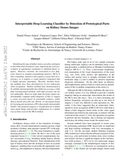 Interpretable Deep Learning Classifier by Detection of Prototypical
  Parts on Kidney Stones Images