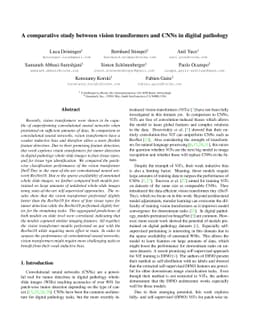 A comparative study between vision transformers and CNNs in digital
  pathology