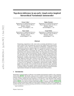 Top-down inference in an early visual cortex inspired hierarchical
  Variational Autoencoder