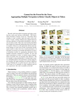 Cannot See the Forest for the Trees: Aggregating Multiple Viewpoints to
  Better Classify Objects in Videos