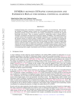 SYNERgy between SYNaptic consolidation and Experience Replay for general
  continual learning