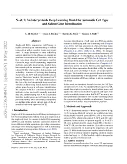 N-ACT: An Interpretable Deep Learning Model for Automatic Cell Type and
  Salient Gene Identification