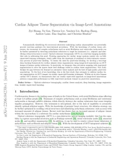 Cardiac Adipose Tissue Segmentation via Image-Level Annotations