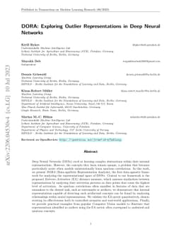 DORA: Exploring Outlier Representations in Deep Neural Networks