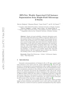 BFS-Net: Weakly Supervised Cell Instance Segmentation from Bright-Field
  Microscopy Z-Stacks