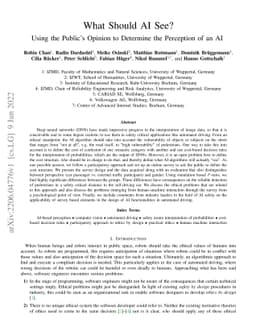 What should AI see? Using the Public's Opinion to Determine the
  Perception of an AI