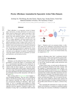 Precise Affordance Annotation for Egocentric Action Video Datasets