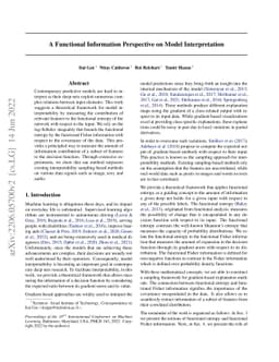 A Functional Information Perspective on Model Interpretation