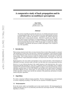 A comparative study of back propagation and its alternatives on
  multilayer perceptrons