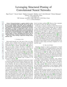 Leveraging Structured Pruning of Convolutional Neural Networks