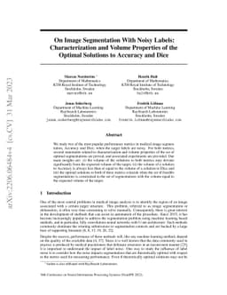 On Image Segmentation With Noisy Labels: Characterization and Volume
  Properties of the Optimal Solutions to Accuracy and Dice