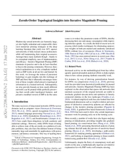 Zeroth-Order Topological Insights into Iterative Magnitude Pruning