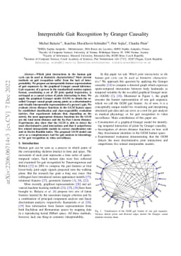 Interpretable Gait Recognition by Granger Causality