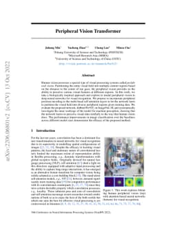 Peripheral Vision Transformer