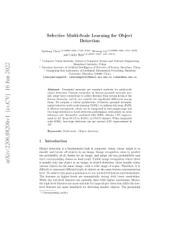 Selective Multi-Scale Learning for Object Detection