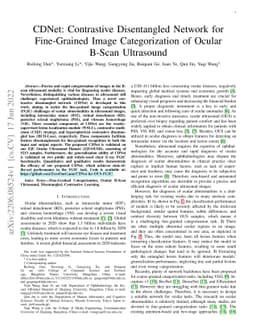 CDNet: Contrastive Disentangled Network for Fine-Grained Image
  Categorization of Ocular B-Scan Ultrasound