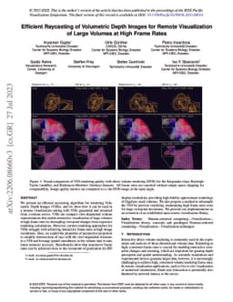 Efficient Raycasting of Volumetric Depth Images for Remote Visualization
  of Large Volumes at High Frame Rates