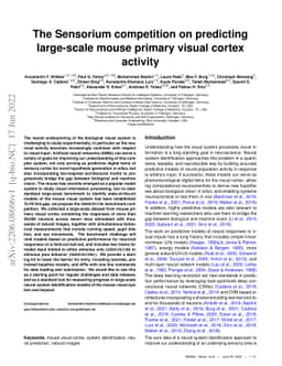 The Sensorium competition on predicting large-scale mouse primary visual
  cortex activity