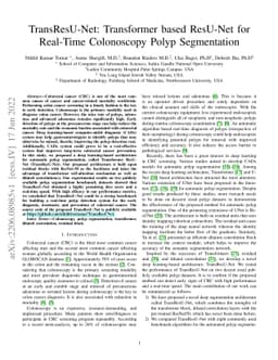 TransResU-Net: Transformer based ResU-Net for Real-Time Colonoscopy
  Polyp Segmentation
