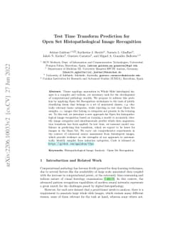 Test Time Transform Prediction for Open Set Histopathological Image
  Recognition